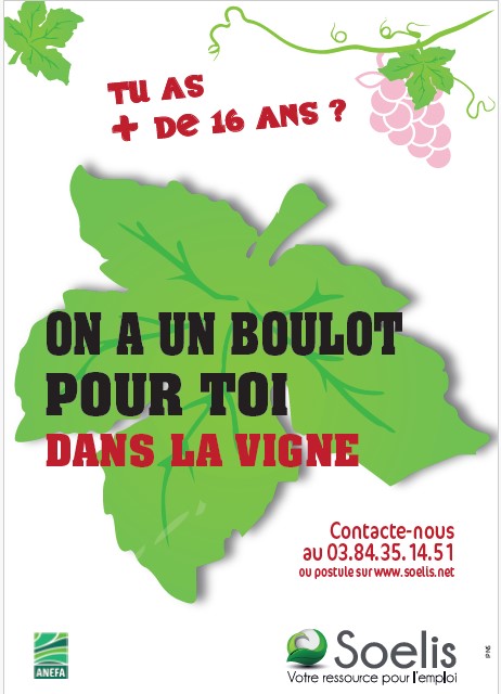 Tu as + de 16 ans ? on a un boulot pour toi